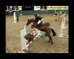 jumper Classique 2 (Westphalian, 2007, from Cayetano L)