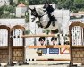 jumper Don Camillo Fr (Oldenburg show jumper, 2011, from Colman)