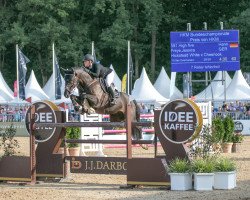 jumper High Five FRH (Hanoverian, 2016, from Hickstead White)