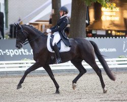 dressage horse Slaide (Hanoverian, 2015, from Spörcken)