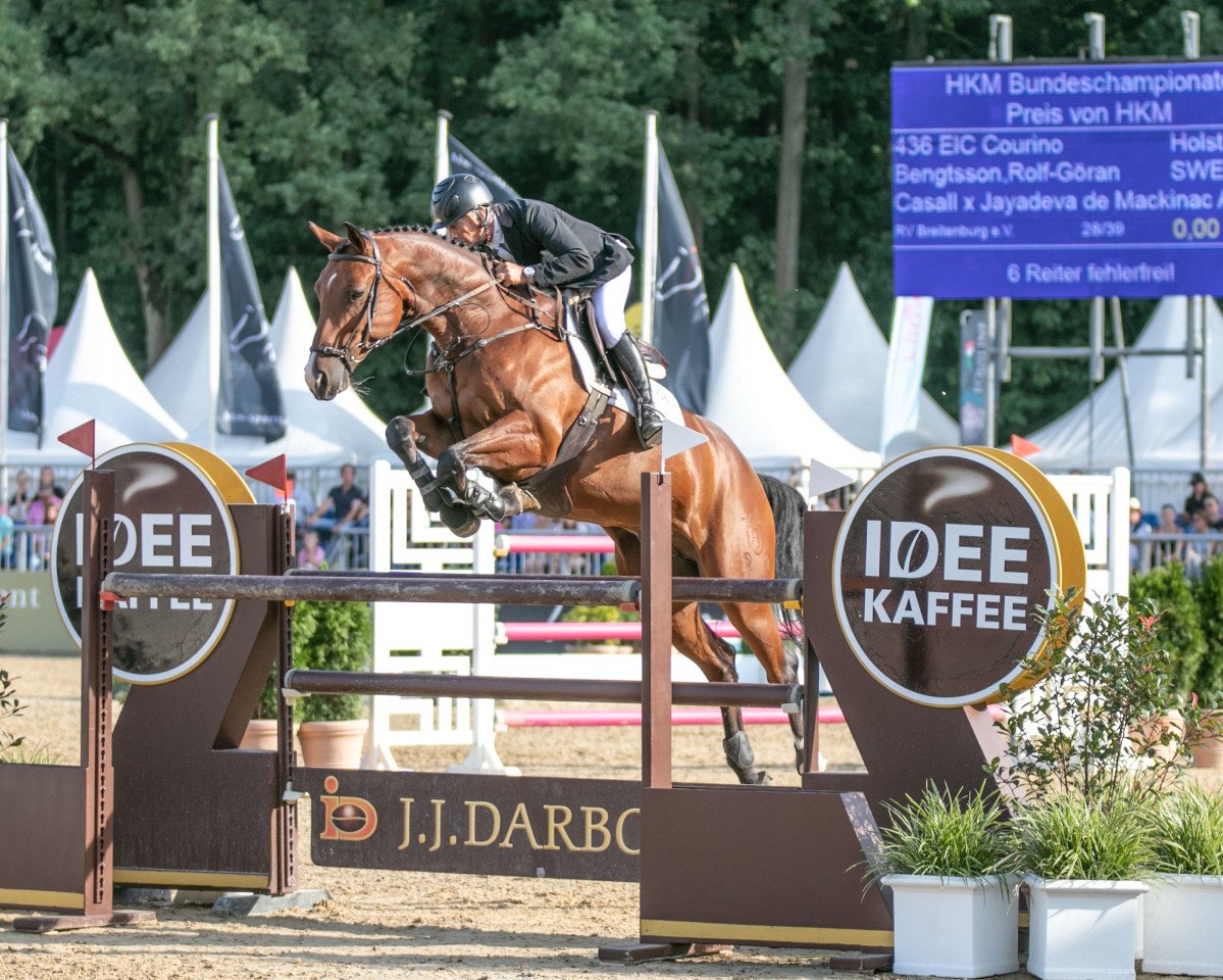 jumper EIC Courino (Holsteiner, 2016, from Casall Ask)