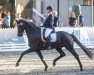 dressage horse Best of Bond (Hanoverian, 2015, from Bordeaux 28)