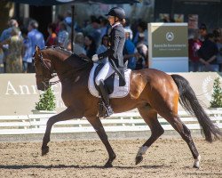 dressage horse Eleventy (Hanoverian, 2015, from Edward 28)