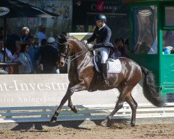 dressage horse Fa Chai (Oldenburg, 2015, from Fürstenball)