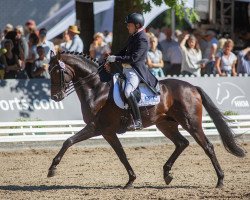 stallion First Try G (Hanoverian, 2015, from Fürstenball)