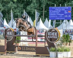 jumper Qualtissima PS (Oldenburg show jumper, 2016, from Qualdandro)