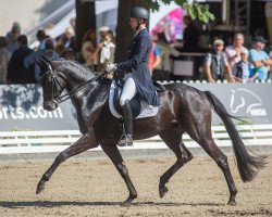 dressage horse Forster 16 (Hanoverian, 2015, from Finest)