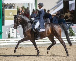 dressage horse Forty Seven (Oldenburg, 2015, from Tannenhof's Fahrenheit)