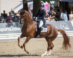 dressage horse Lagavulin 5 (Hanoverian, 2015, from Livaldon)