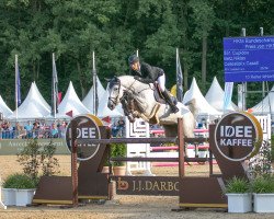 jumper Cupidou (Holsteiner, 2016, from Cellestial)