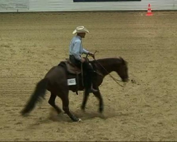 Deckhengst Slidin On Diamonds (Quarter Horse, 2000, von Little Bo Badger)