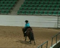 horse SR Peppy Dun Badger (Quarter Horse, 2004, from SR Gay King Jac)