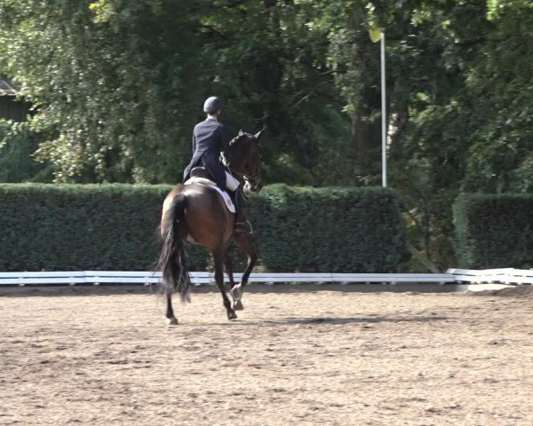 Reitturnier Hamburg-Bergstedt 2022