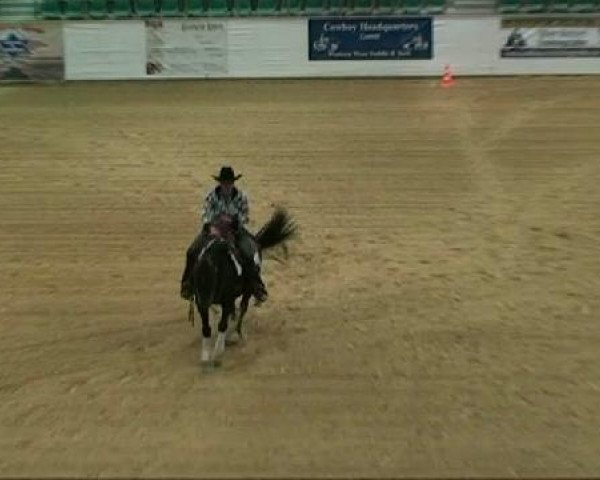 horse SD Chintane (Quarter Horse, 2000, from Freckled Like Mom)