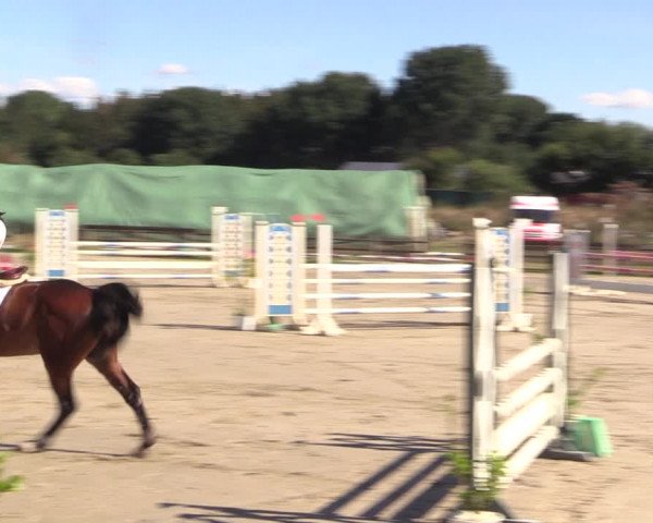 Reitturnier Schülp / Rendsburg 2022