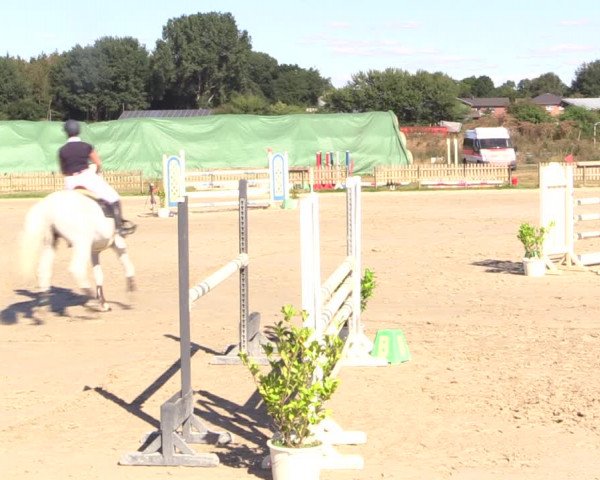 Reitturnier Schülp / Rendsburg 2022