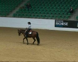 Pferd Colonel Sugar Okie (Quarter Horse, 2003, von Okie Sanolena)