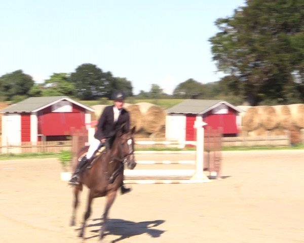 Reitturnier Schülp / Rendsburg 2022