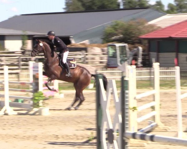 Reitturnier Schülp / Rendsburg 2022