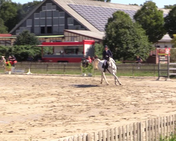Reitturnier Schülp / Rendsburg 2022