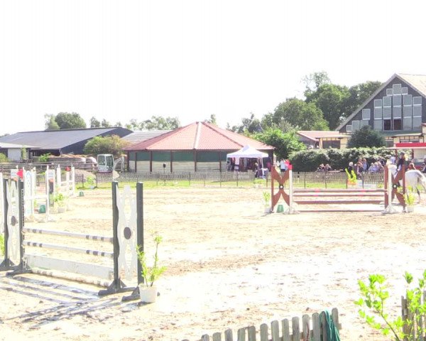 Reitturnier Schülp / Rendsburg 2022