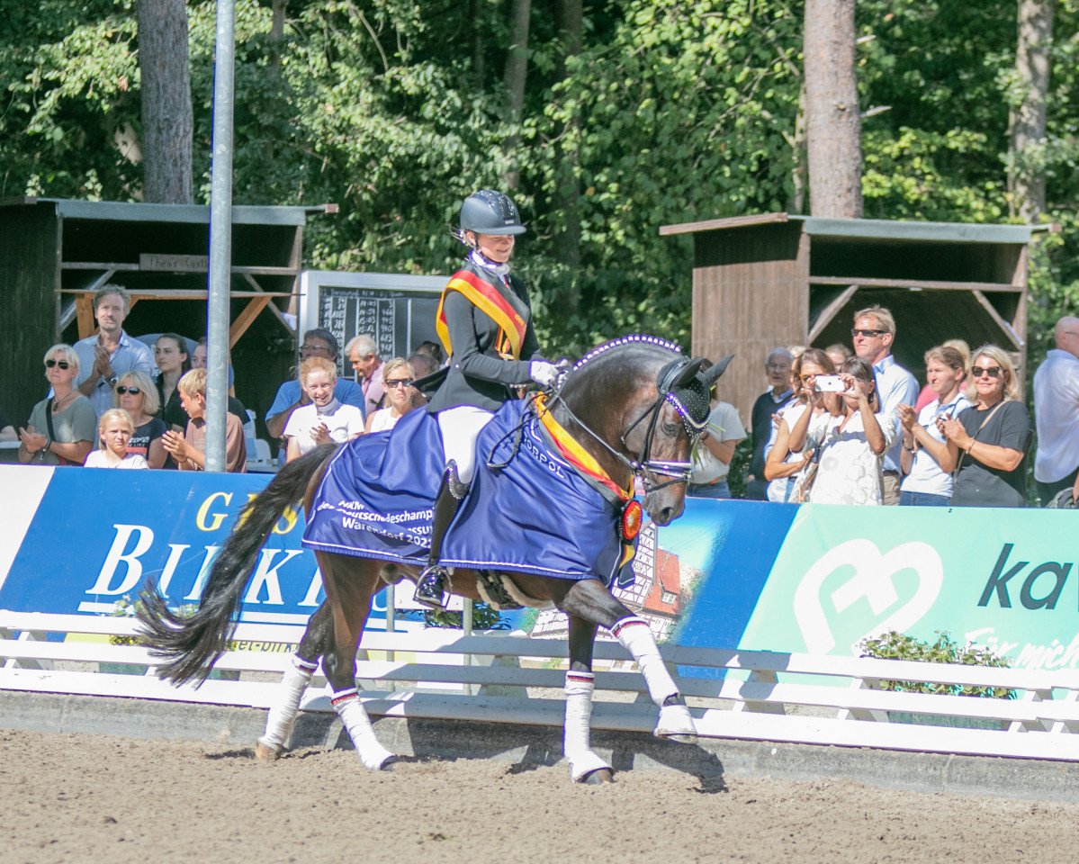 Deckhengst Neverland WE (Deutsches Reitpony, 2016, von Fs Numero Uno)