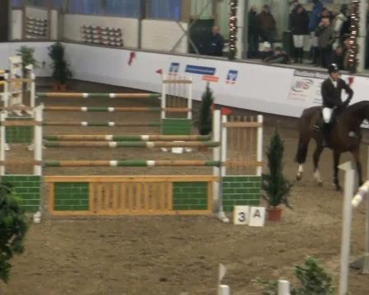 broodmare Tenderfoot 2 (KWPN (Royal Dutch Sporthorse), 2000, from Concorde)