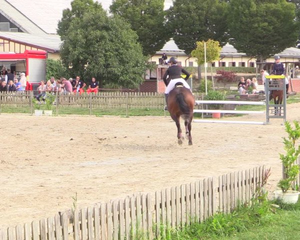 Reitturnier Schülp / Rendsburg 2022