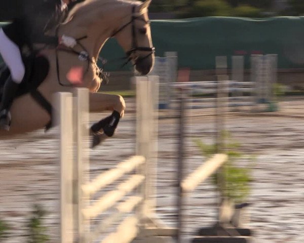 Reitturnier Schülp / Rendsburg 2022