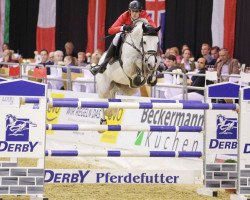 stallion Coupe d`Or (Oldenburg show jumper, 2008, from Coupe de Coeur 2)