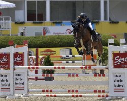 jumper Larona 6 (Oldenburg show jumper, 2012, from Lyjanero)