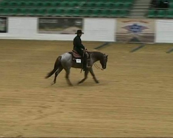 horse CS Elite Skip (Quarter Horse,  , from Elite Eldorado)