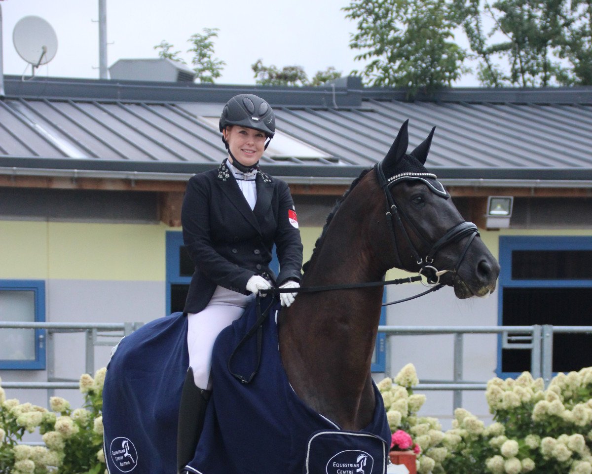 dressage horse Dean Martin M (Oldenburg, 2015, from De Niro)