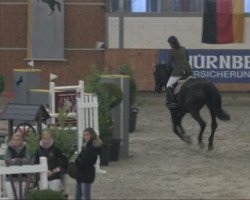 jumper Enjoy 64 (Hanoverian, 1998, from Erbherzog)