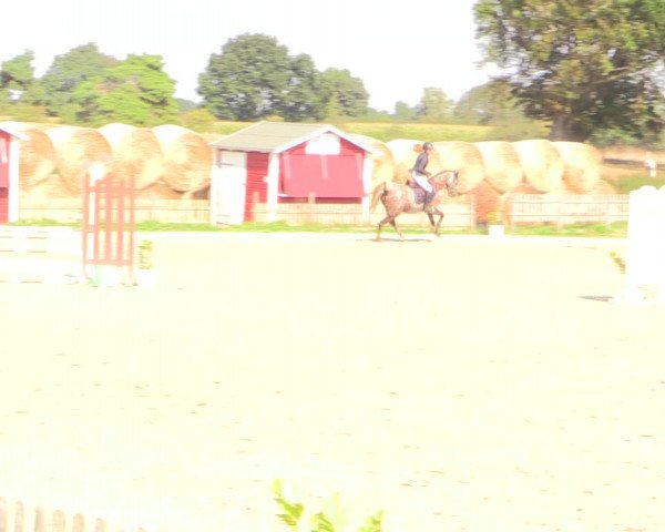 Reitturnier Schülp / Rendsburg 2022