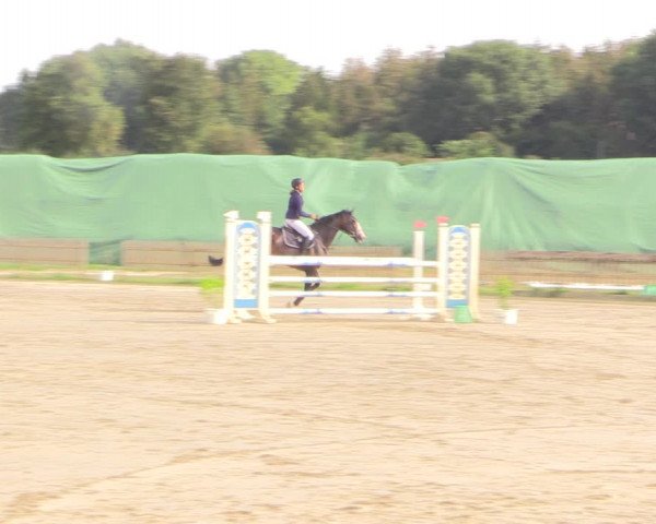 Reitturnier Schülp / Rendsburg 2022