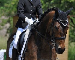 Pferd Power Paulchen (Deutsches Reitpony, 1996, von Power Star B)