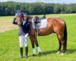 dressage horse Zazou 41 (German Sport Horse, 2015, from Zirkon 8)