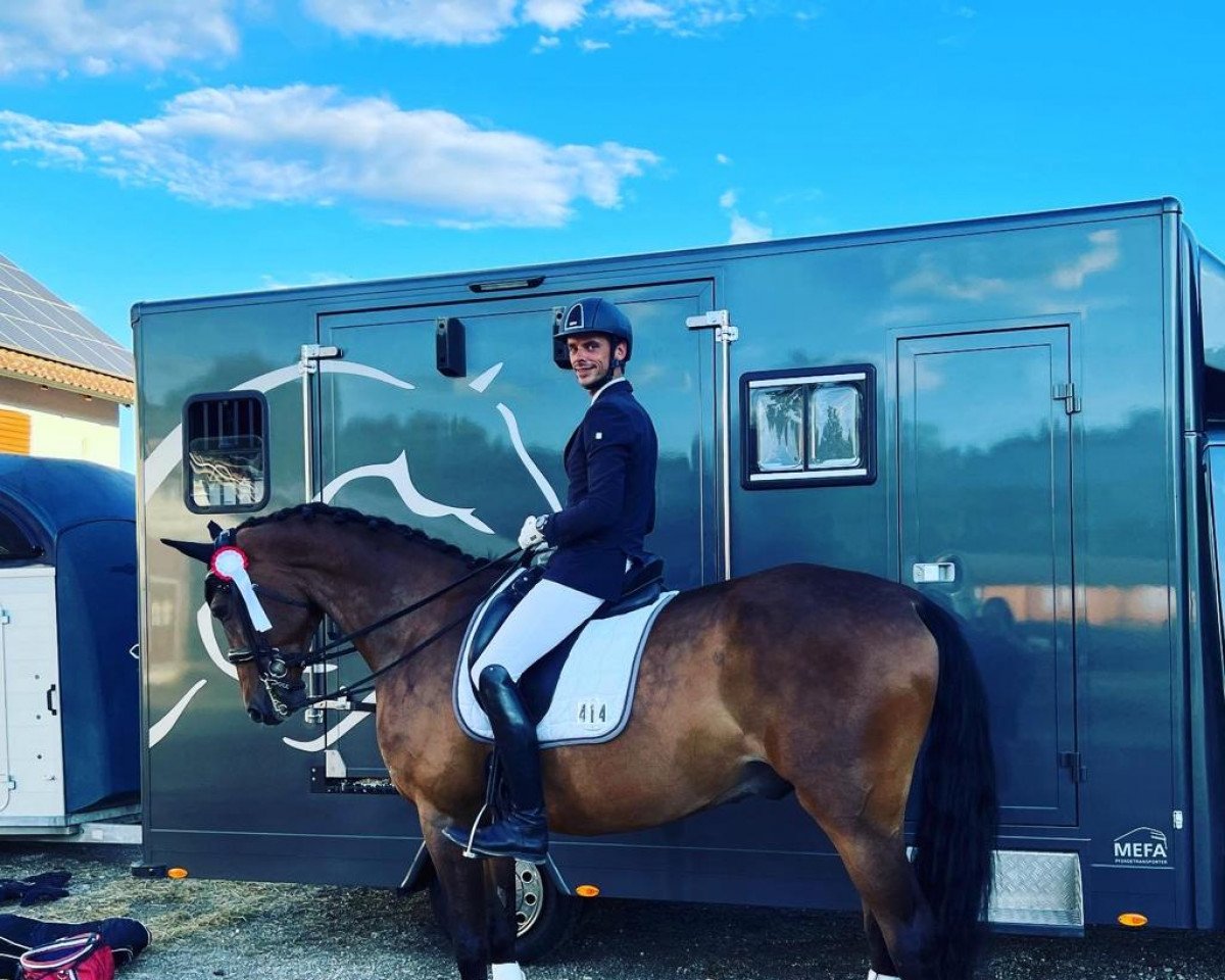 dressage horse Djasim (German Sport Horse, 2012, from Disco-Boy)