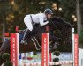 jumper Quirin 40 (German Sport Horse, 2017, from Quiz)