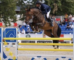 Springpferd Lucky Star Vg (KWPN (Niederländisches Warmblut), 2016, von Cornet Obolensky)