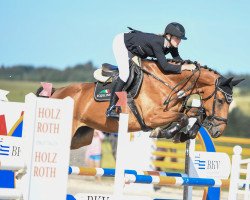 jumper SR - Halleluja - Z (Zangersheide riding horse, 2016, from Good Boy)