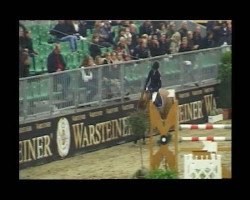 Springpferd Mac Easy (Deutsches Reitpony, 1997, von Maccardo)