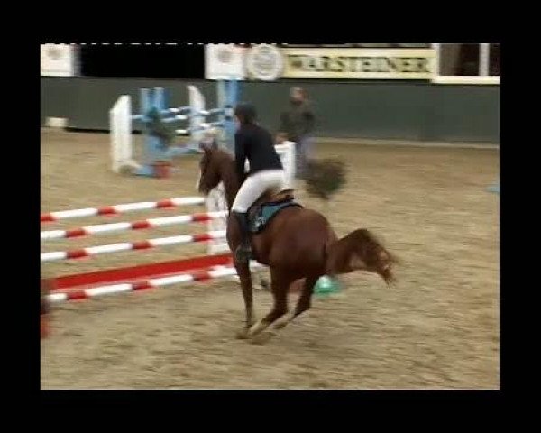 dressage horse Paula 309 (Westphalian, 2000, from Polany)