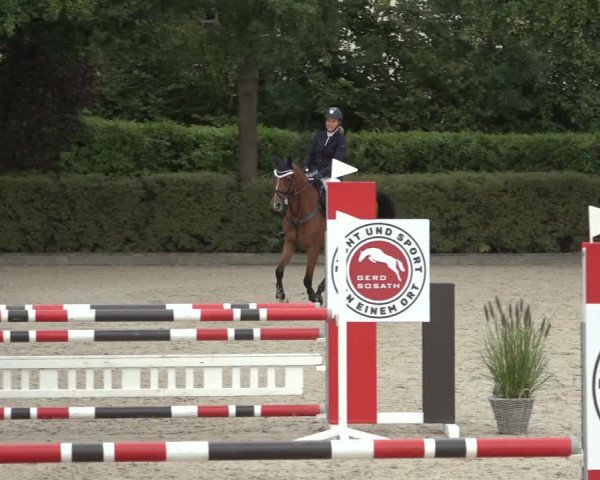 Reitturnier Lemwerder 2022