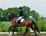 dressage horse Be The One L (Hanoverian, 2016, from Borsalino)