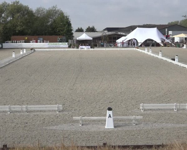 Reitturnier Leichlingen-Witzhelden 2022