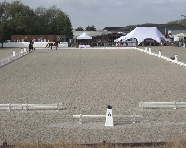 Reitturnier Leichlingen-Witzhelden 2022