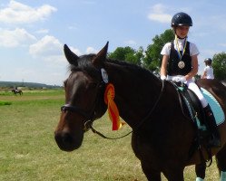 dressage horse Ernesto 56 (Hanoverian, 2004, from El Bundy)