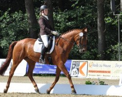 dressage horse Wild Women W (Oldenburg, 2003, from Wolkentanz I)